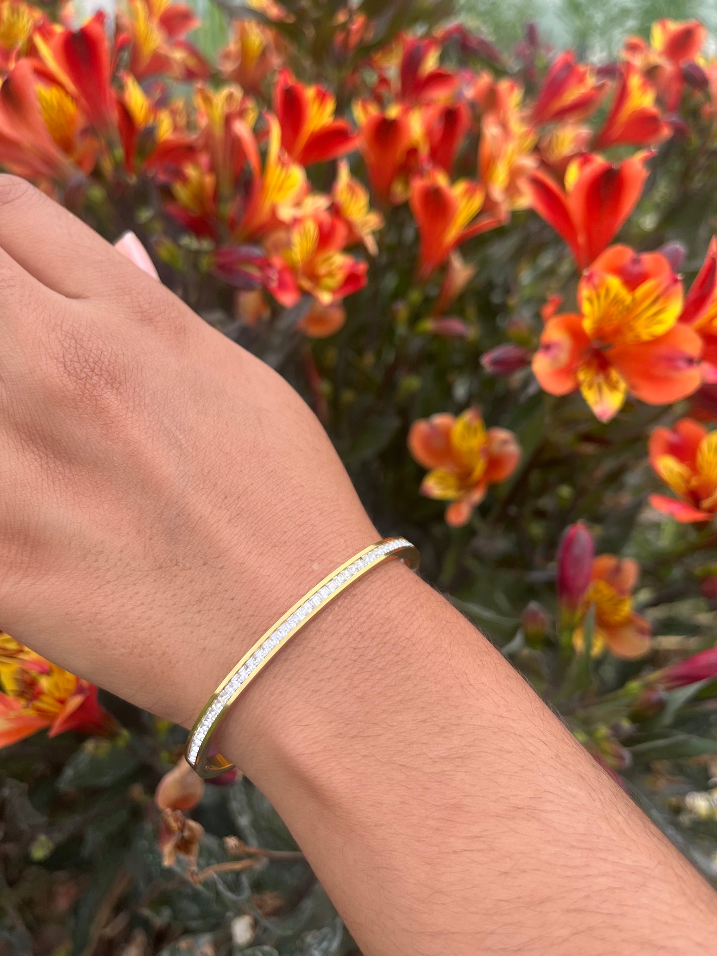 BELLA